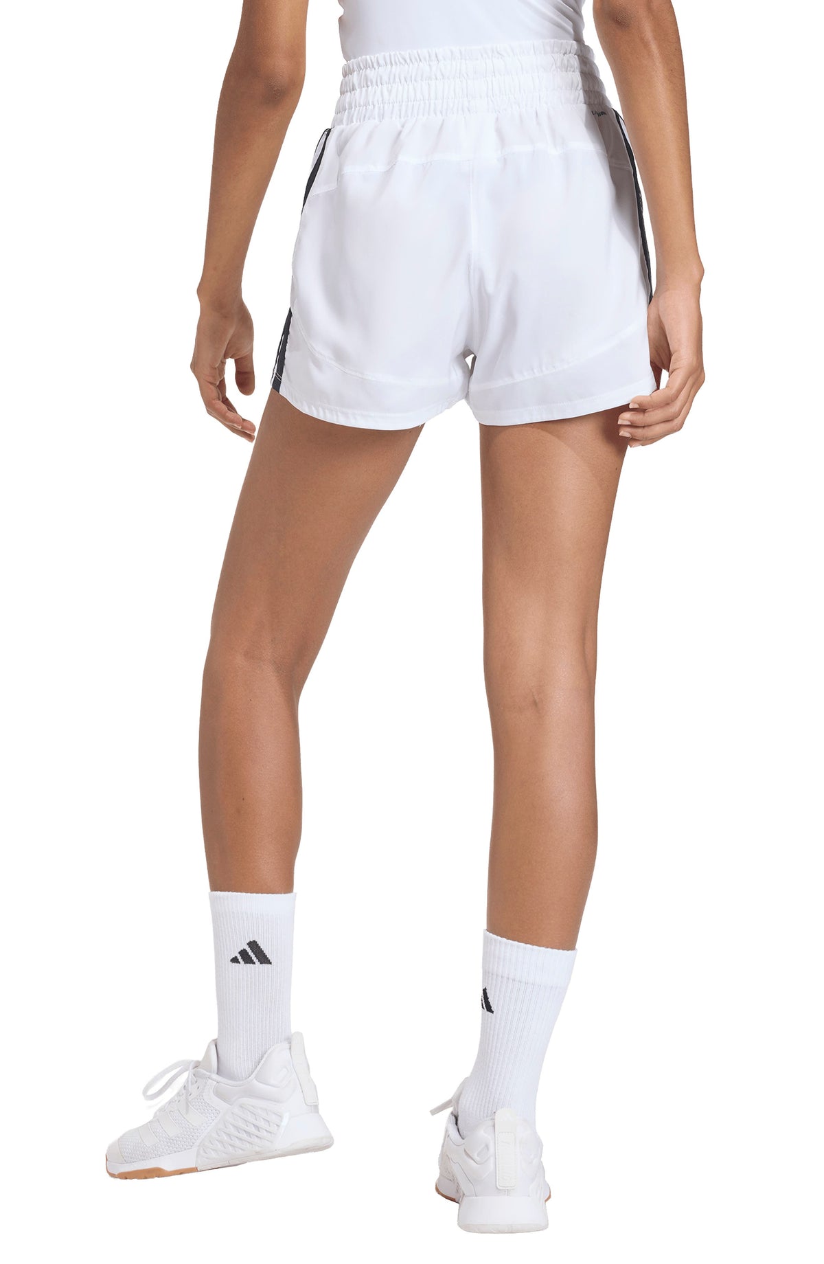 WHITE/BLACK