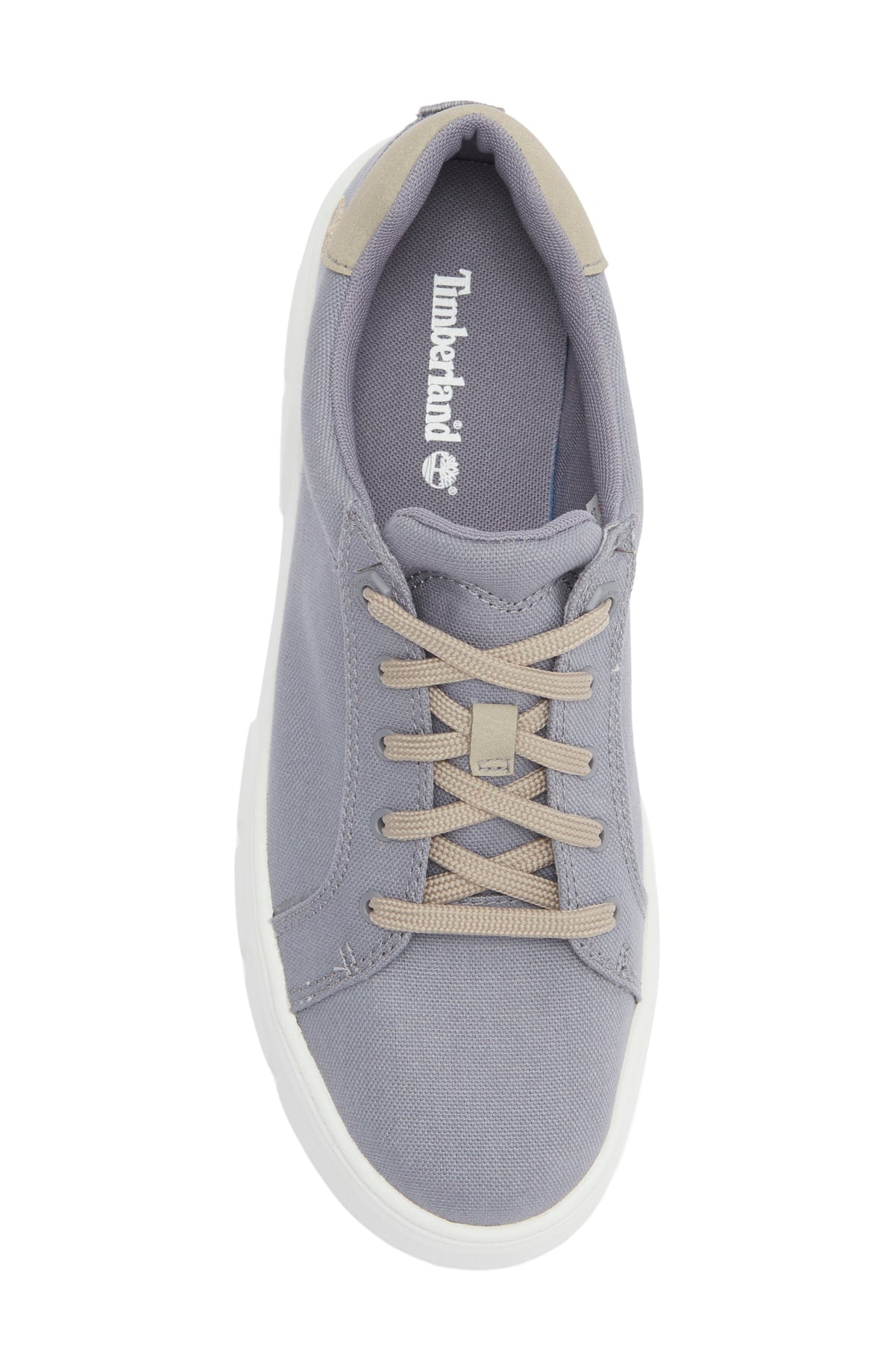 MEDIUM PURPLE CANVAS