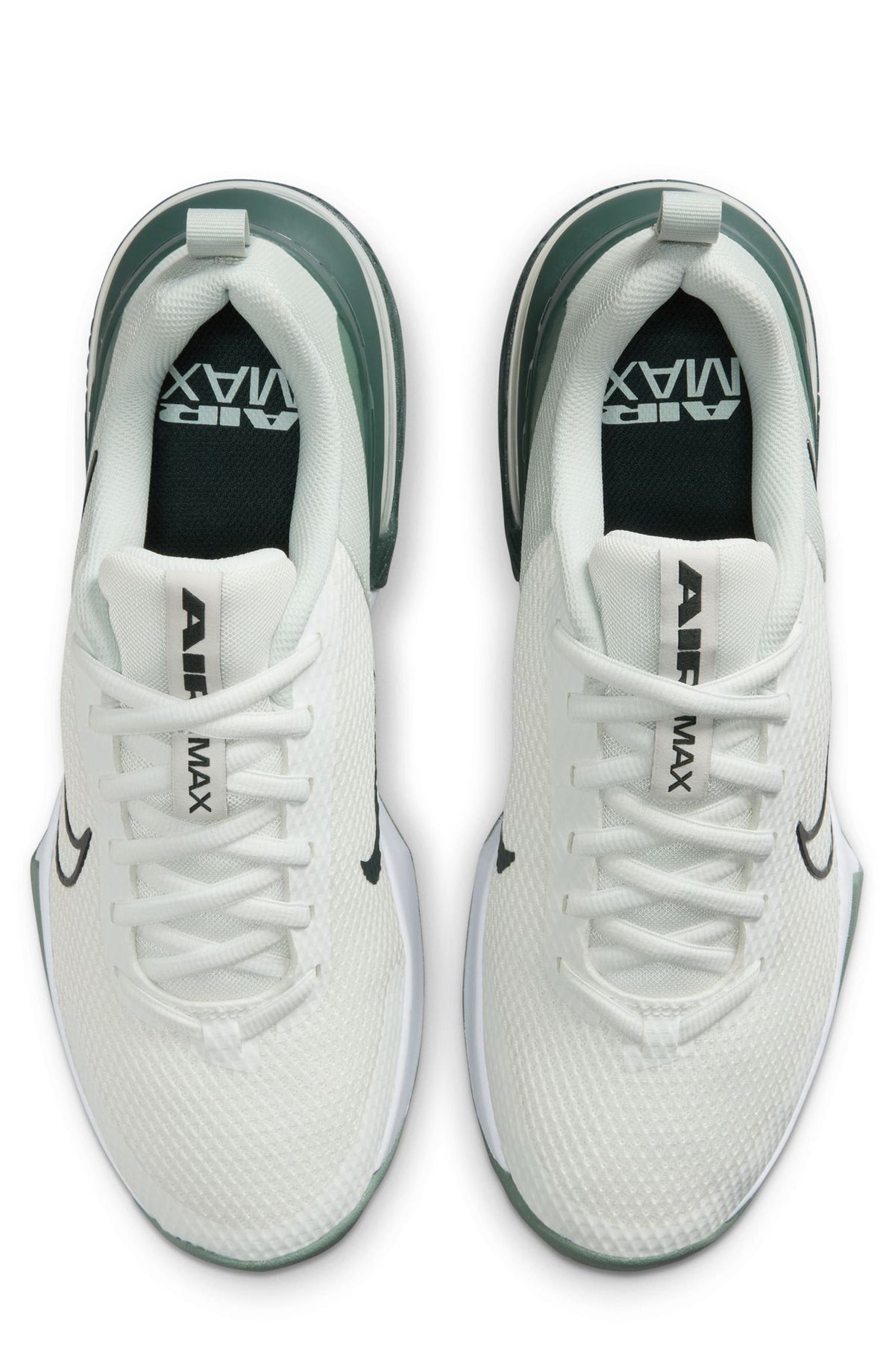SUMMIT WHITE/ SEAWEED
