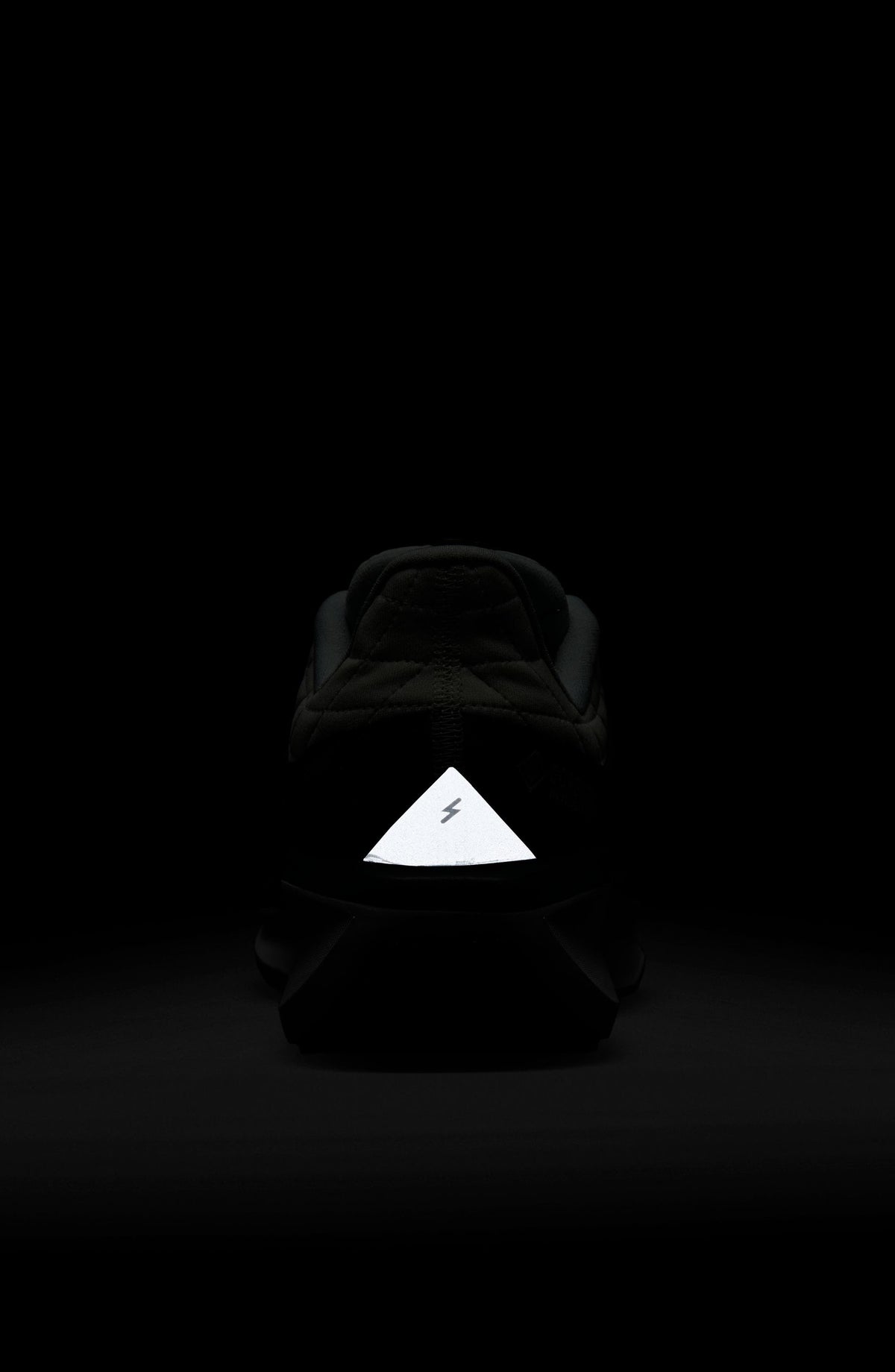 004 ANTHRA/M SILV