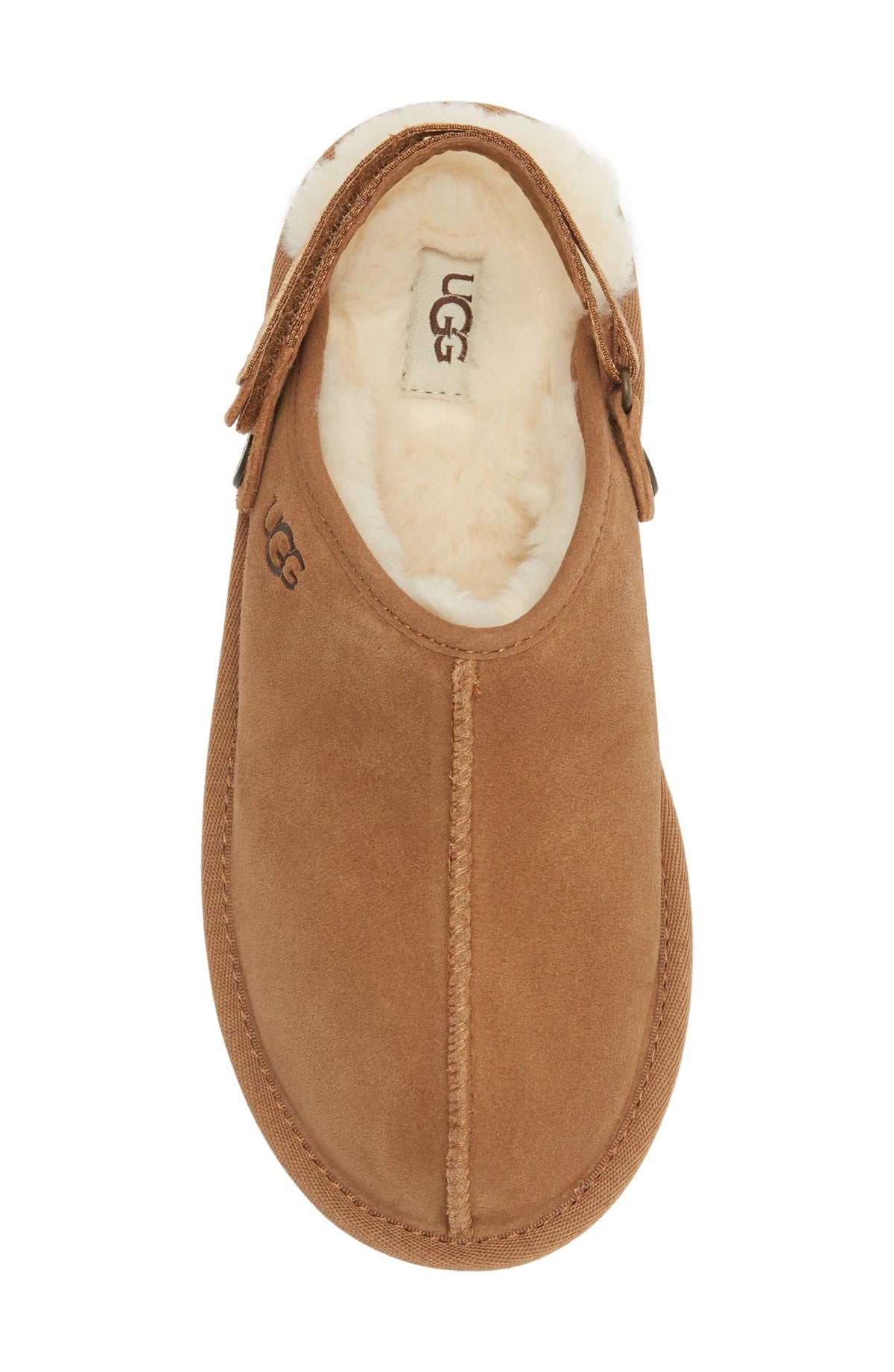 CHESTNUT